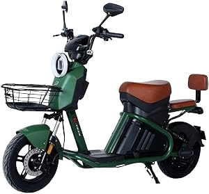 Bicicleta Scooter Elétrica Autopropelida 1000W